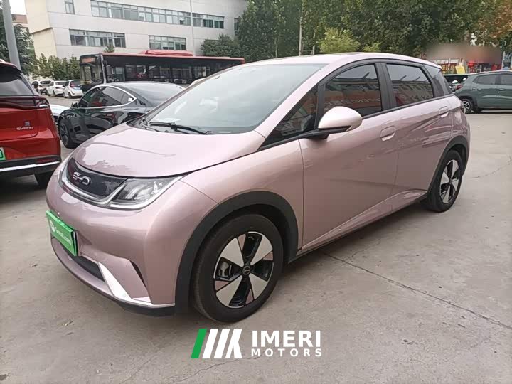 BYD Dolphin 2023 420km Freedom Edition - ავტომობილი ჩინეთიდან