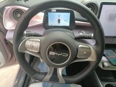 BYD Dolphin 2023 420km Freedom Edition - ფოტო 11