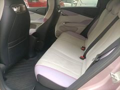 BYD Dolphin 2023 420km Freedom Edition - ფოტო 17