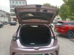 BYD Dolphin 2023 420km Freedom Edition - ფოტო 19