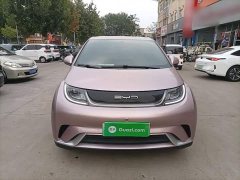 BYD Dolphin 2023 420km Freedom Edition - ფოტო 3