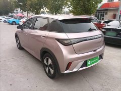 BYD Dolphin 2023 420km Freedom Edition - ფოტო 5