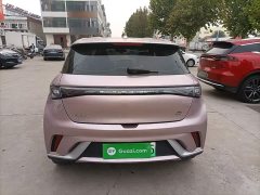BYD Dolphin 2023 420km Freedom Edition - ფოტო 6