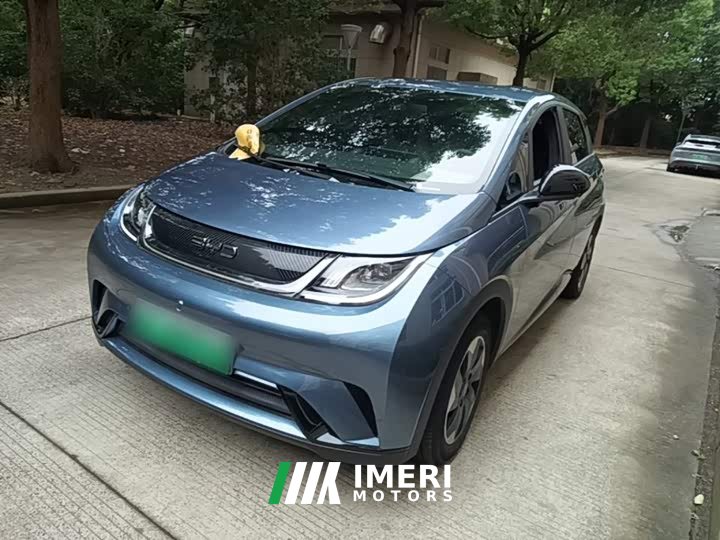 BYD Dolphin 2025 420km Freedom Edition - ავტომობილი ჩინეთიდან