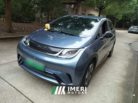 2026 BYD Dolphin 420km Freedom Edition