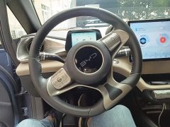 BYD Dolphin 2025 420km Freedom Edition - ფოტო 11