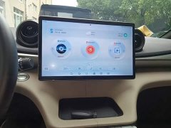 BYD Dolphin 2025 420km Freedom Edition - ფოტო 13