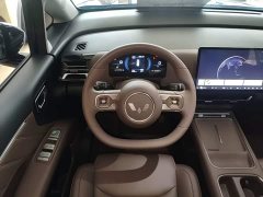 Wuling Starlight 730 New Energy PHEV 125km Luxury - ფოტო 11