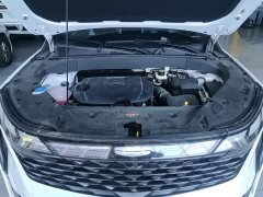 Geely Boyue L 2024 1.5TD DCT Deluxe Edition - ფოტო 20