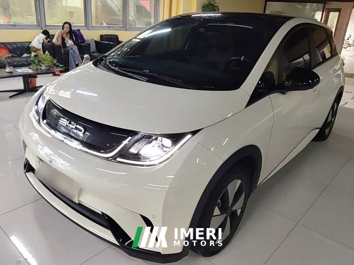BYD Dolphin 420km Fashion Edition