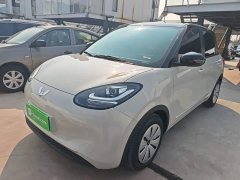 Wuling Binguo 2023 203km Light Enjoy Edition - ფოტო 1