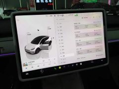 Tesla Model Y Rear-Wheel Drive - ფოტო 12