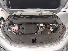 Geely Galaxy Starship 7 120km Explorer Edition - ფოტო 20