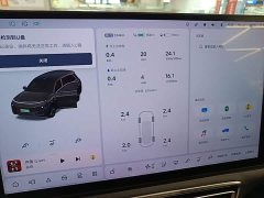 Li Auto L8 Max - ფოტო 12