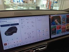 Li Auto L8 Max - ფოტო 13