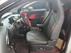Chery eQ1 Pro 301km Mythical Beast Edition Ternary Lithium - ფოტო 15