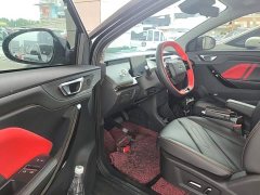 Chery eQ1 Pro 301km Mythical Beast Edition Ternary Lithium - ფოტო 16