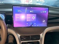 BYD Song Pro New Energy Champion Edition DM-i 110KM Excellence - ფოტო 13