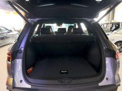 BYD Song Pro New Energy Champion Edition DM-i 110KM Excellence - ფოტო 19