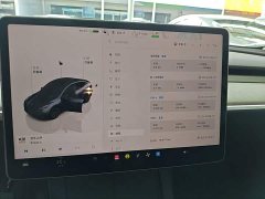 Tesla Model Y Rear-Wheel Drive - ფოტო 13