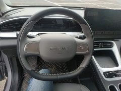 Geely Star Wish 410km Freedom Edition - ფოტო 11
