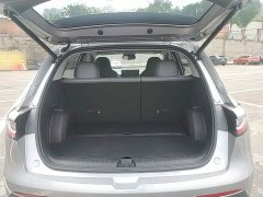 Geely Star Wish 410km Freedom Edition - ფოტო 19