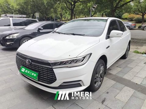 2021 BYD Qin EV 2019 Long Range Version Luxury Edition - ავტომობილი ჩინეთიდან