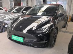 Tesla Model Y Standard Range RWD - ფოტო 1