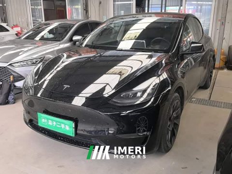 2021 Tesla Model Y Standard Range RWD - ავტომობილი ჩინეთიდან