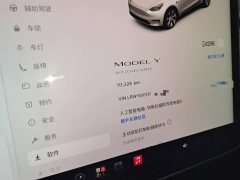 Tesla Model Y Standard Range RWD - ფოტო 12