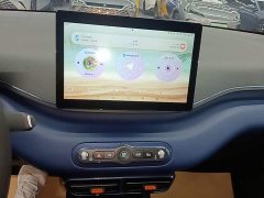 BYD Seagull Smart Drive 305km Vitality Edition - ფოტო 13
