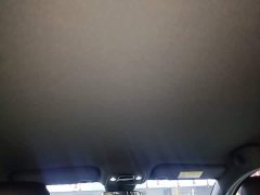 BYD Seagull Smart Drive 305km Vitality Edition - ფოტო 18