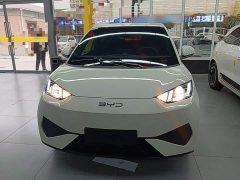 BYD Seagull Smart Drive 305km Vitality Edition - ფოტო 3