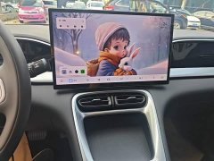 Geely Star Wish 310km Dream Edition - ფოტო 13