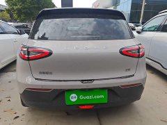 Geely Star Wish 310km Dream Edition - ფოტო 6