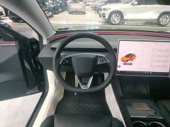 Tesla Model 3 Rear-Wheel Drive - ფოტო 11