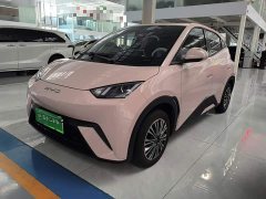 BYD Seagull Vitality Edition - ფოტო 2