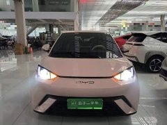 BYD Seagull Vitality Edition - ფოტო 3
