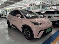 BYD Seagull Vitality Edition - ფოტო 4