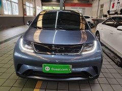 BYD Dolphin Glory Edition 420km Fashion Version - ფოტო 3