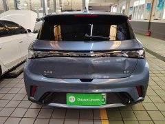 BYD Dolphin Glory Edition 420km Fashion Version - ფოტო 6