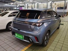 BYD Dolphin Glory Edition 420km Fashion Version - ფოტო 7