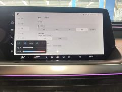 XPeng P7 586E - ფოტო 13