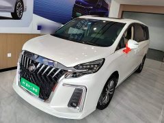 Buick GL8 ES Land Respect 653T Respect Enjoyment Edition - ფოტო 1