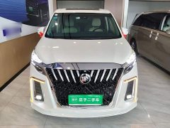 Buick GL8 ES Land Respect 653T Respect Enjoyment Edition - ფოტო 3