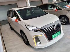 Buick GL8 ES Land Respect 653T Respect Enjoyment Edition - ფოტო 4