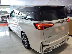 Buick GL8 ES Land Respect 653T Respect Enjoyment Edition - ფოტო 5