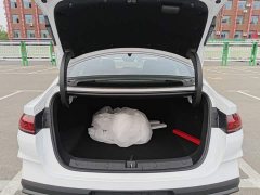 BYD Qin L DM-i 128KM Leading Edition - ფოტო 9