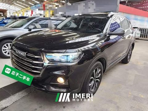 2021 Haval H6 National Trend Edition 1.5T Automatic Urban Version - ავტომობილი ჩინეთიდან