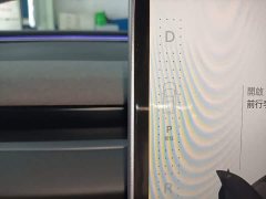 Tesla Model 3 2023 Rear-Wheel Drive - ფოტო 14
